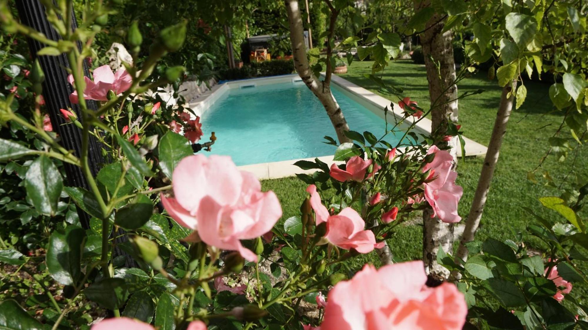Bed & Breakfast Mary's Dream Manoppello